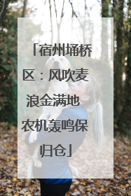 宿州埇桥区：风吹麦浪金满地 农机轰鸣保归仓