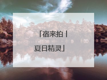 宿来拍丨夏日精灵