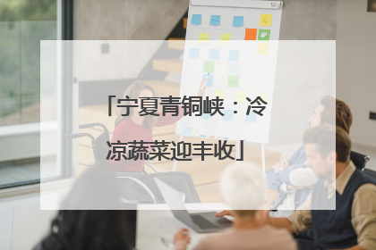 宁夏青铜峡：冷凉蔬菜迎丰收
