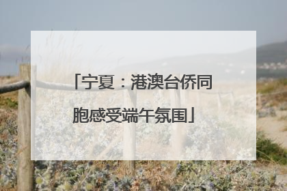 宁夏：港澳台侨同胞感受端午氛围