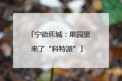 宁德蕉城：果园里来了“科特派”