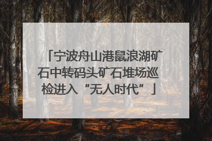 宁波舟山港鼠浪湖矿石中转码头矿石堆场巡检进入“无人时代”