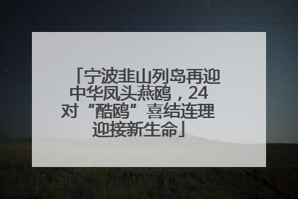 宁波韭山列岛再迎中华凤头燕鸥，24对“酷鸥”喜结连理迎接新生命