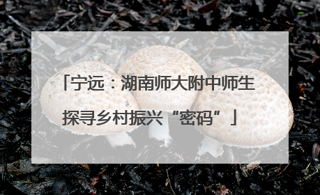 宁远：湖南师大附中师生探寻乡村振兴“密码”