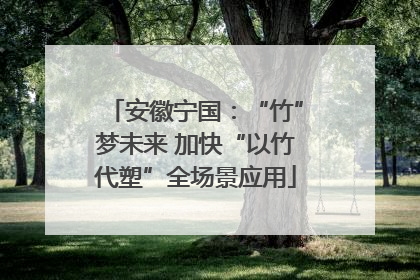 安徽宁国：“竹”梦未来 加快“以竹代塑”全场景应用