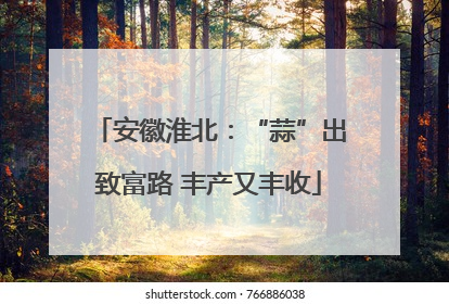 安徽淮北：“蒜”出致富路 丰产又丰收