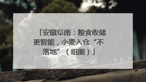 安徽阜南：粮食收储更智能，小麦入仓“不落地”（组图）