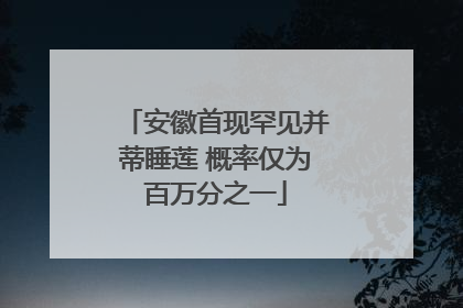 安徽首现罕见并蒂睡莲 概率仅为百万分之一
