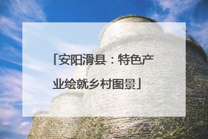 安阳滑县：特色产业绘就乡村图景