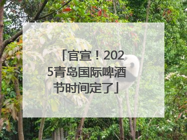 官宣！2025青岛国际啤酒节时间定了