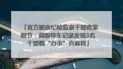 官方披露纪检监察干部查案细节：调取停车记录发现3名干部假“办事”真麻将