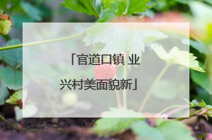 官道口镇 业兴村美面貌新