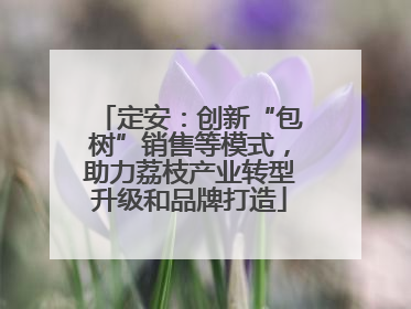 定安：创新“包树”销售等模式，助力荔枝产业转型升级和品牌打造