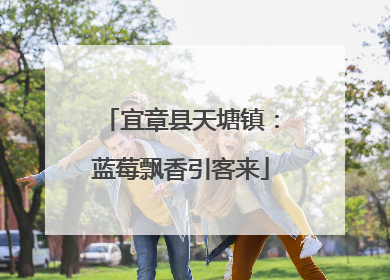 宜章县天塘镇：蓝莓飘香引客来