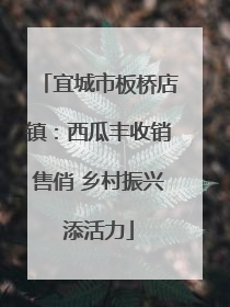 宜城市板桥店镇：西瓜丰收销售俏 乡村振兴添活力