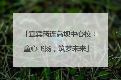 宜宾筠连蒿坝中心校：童心飞扬，筑梦未来