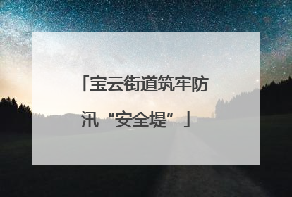 宝云街道筑牢防汛“安全堤”