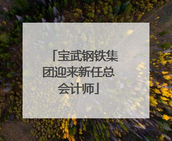 宝武钢铁集团迎来新任总会计师