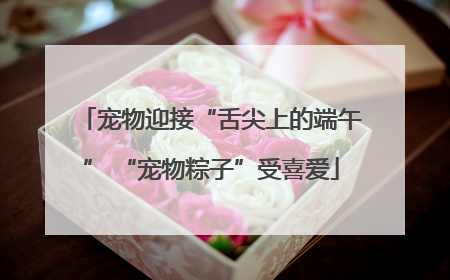 宠物迎接“舌尖上的端午” “宠物粽子”受喜爱