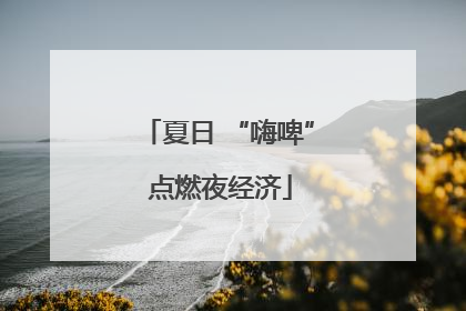 夏日 “嗨啤” 点燃夜经济