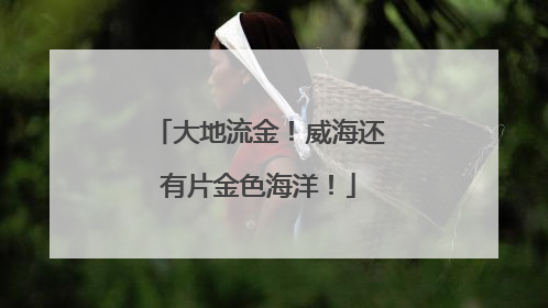 大地流金！威海还有片金色海洋！