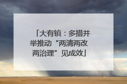 大有镇：多措并举推动“两清两改两治理”见成效