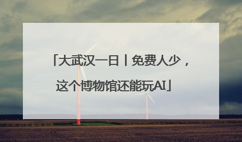 大武汉一日丨免费人少，这个博物馆还能玩AI