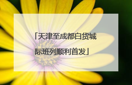 天津至成都白货城际班列顺利首发