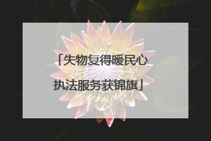 失物复得暖民心 执法服务获锦旗