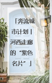 奔流城市计划丨河西走廊的“紫色名片”