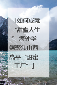 如何成就“甜蜜人生” 海外华媒聚焦山西高平“甜蜜工厂”