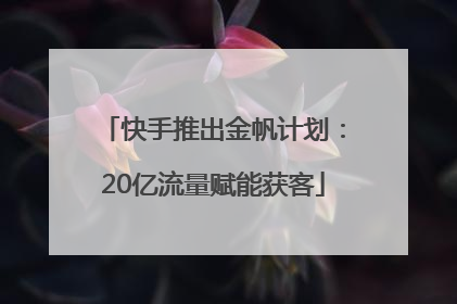 快手推出金帆计划：20亿流量赋能获客