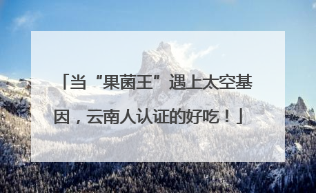 当“果菌王”遇上太空基因，云南人认证的好吃！