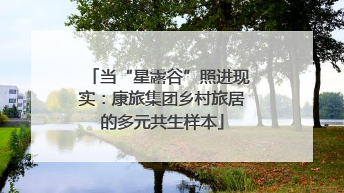 当“星露谷”照进现实：康旅集团乡村旅居的多元共生样本