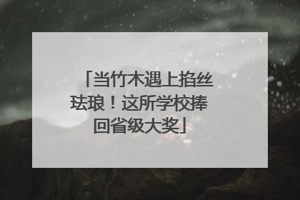 当竹木遇上掐丝珐琅！这所学校捧回省级大奖
