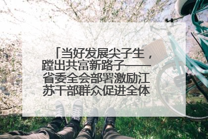 当好发展尖子生，蹚出共富新路子——省委全会部署激励江苏干部群众促进全体人民共同富裕