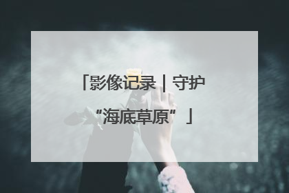 影像记录｜守护“海底草原”