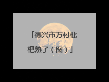 德兴市万村枇杷熟了（图）