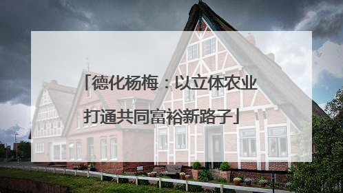 德化杨梅：以立体农业打通共同富裕新路子
