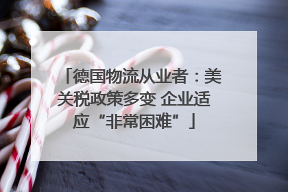 德国物流从业者：美关税政策多变 企业适应“非常困难”