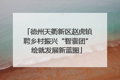 德州天衢新区赵虎镇聘乡村振兴“智囊团” 绘就发展新蓝图