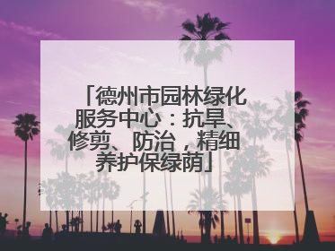 德州市园林绿化服务中心：抗旱、修剪、防治，精细养护保绿荫
