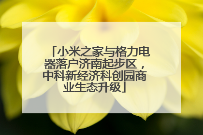 小米之家与格力电器落户济南起步区，中科新经济科创园商业生态升级