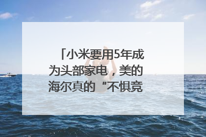 小米要用5年成为头部家电，美的海尔真的“不惧竞争”？｜热财经