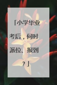 小学毕业考后，何时派位、报到？