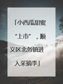 小西瓜甜蜜“上市”，顺义区北务镇进入采摘季