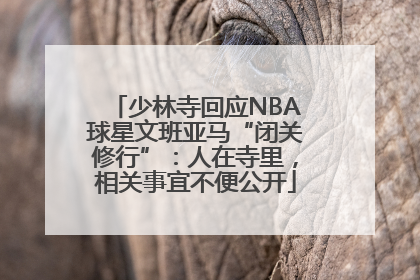 少林寺回应NBA球星文班亚马“闭关修行”：人在寺里，相关事宜不便公开