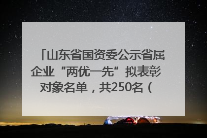 山东省国资委公示省属企业“两优一先”拟表彰对象名单，共250名（个）党员和党组织