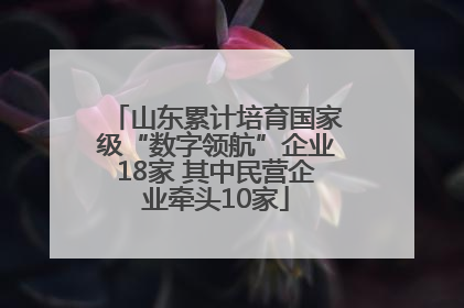 山东累计培育国家级“数字领航”企业18家 其中民营企业牵头10家