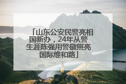 山东公安民警亮相国新办，24年从警生涯陈强用警徽照亮国际维和路